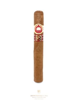 H Upmann Noellas Montefortuna