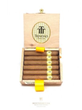 Trinidad Reyes