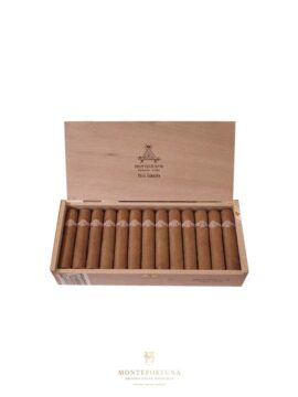 Montecristo petit edmundo