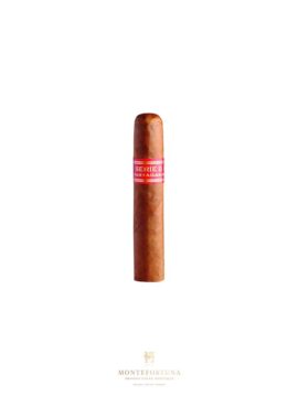 Partagas Serie D No.5